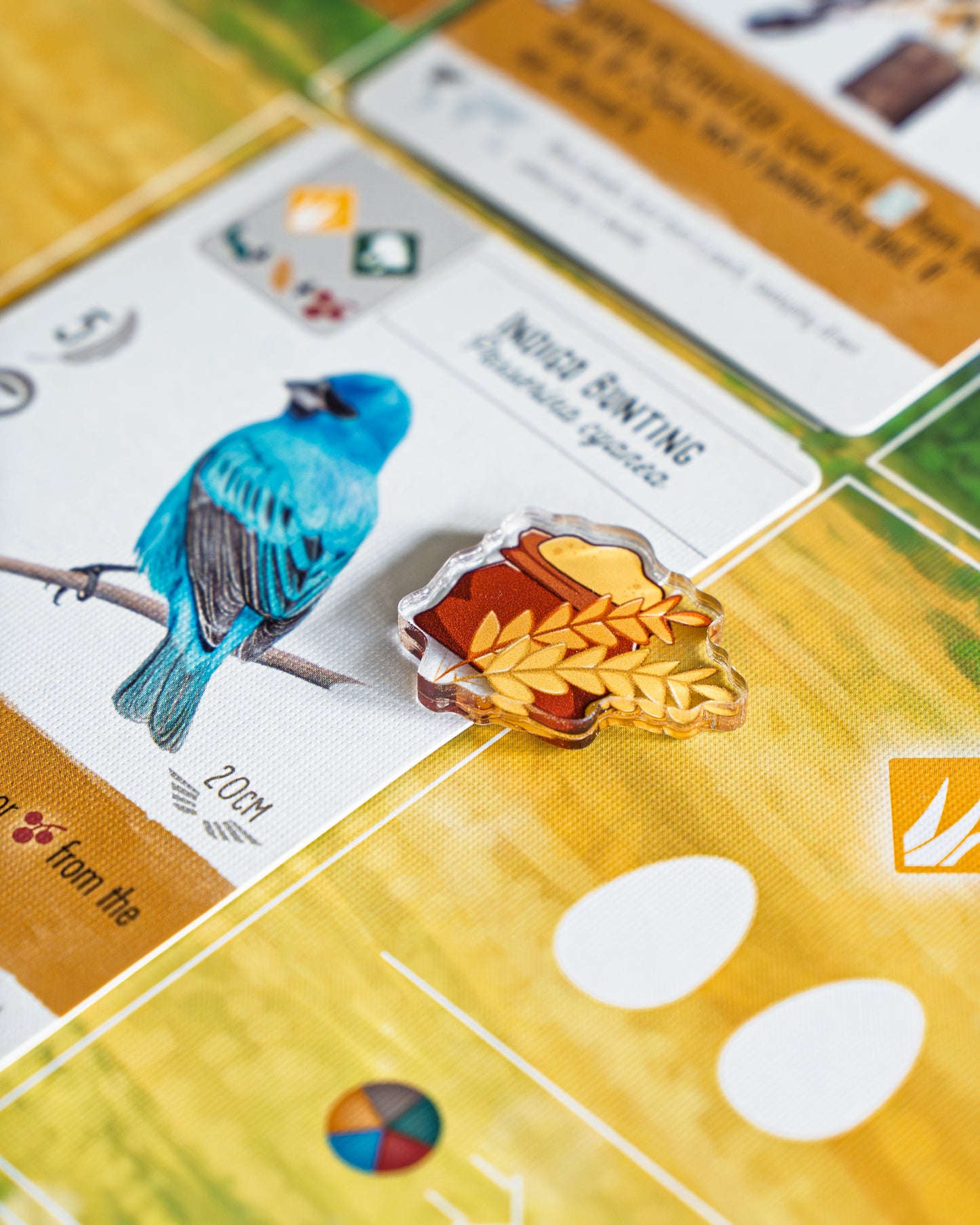 Agricola Bundle Tokens | Acrylic Game Tokens – 0.75" | Double-Sided Print