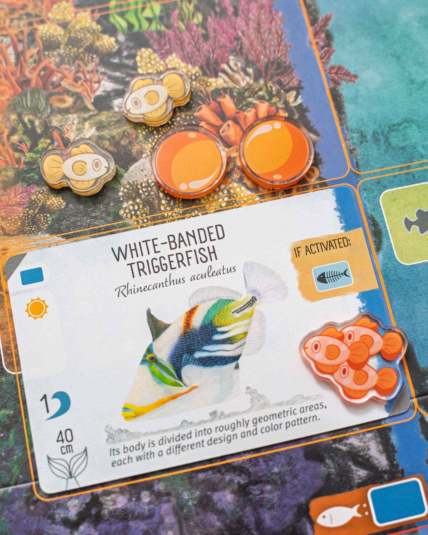 Finspan Bundle Tokens | Acrylic Game Tokens – 0.75" | Double-Sided Print