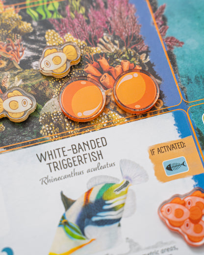 Finspan Bundle Tokens | Acrylic Game Tokens – 0.75" | Double-Sided Print