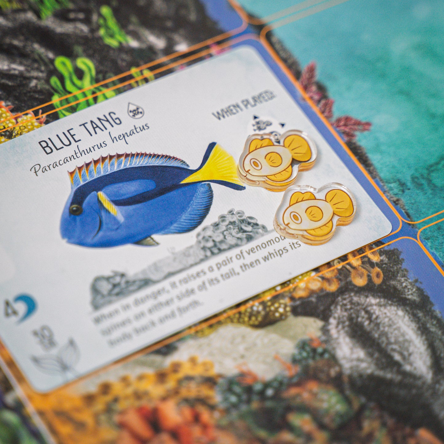 Fish Yellow Token | Acrylic Game Tokens – 0.75" | Double-Sided Print