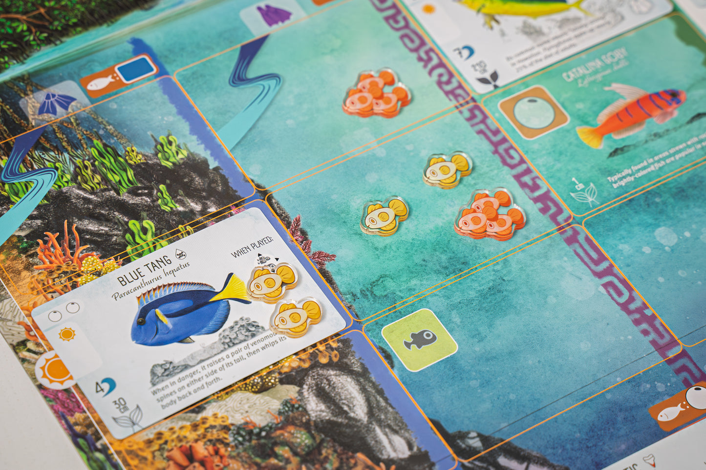 Fish Yellow Token | Acrylic Game Tokens – 0.75" | Double-Sided Print