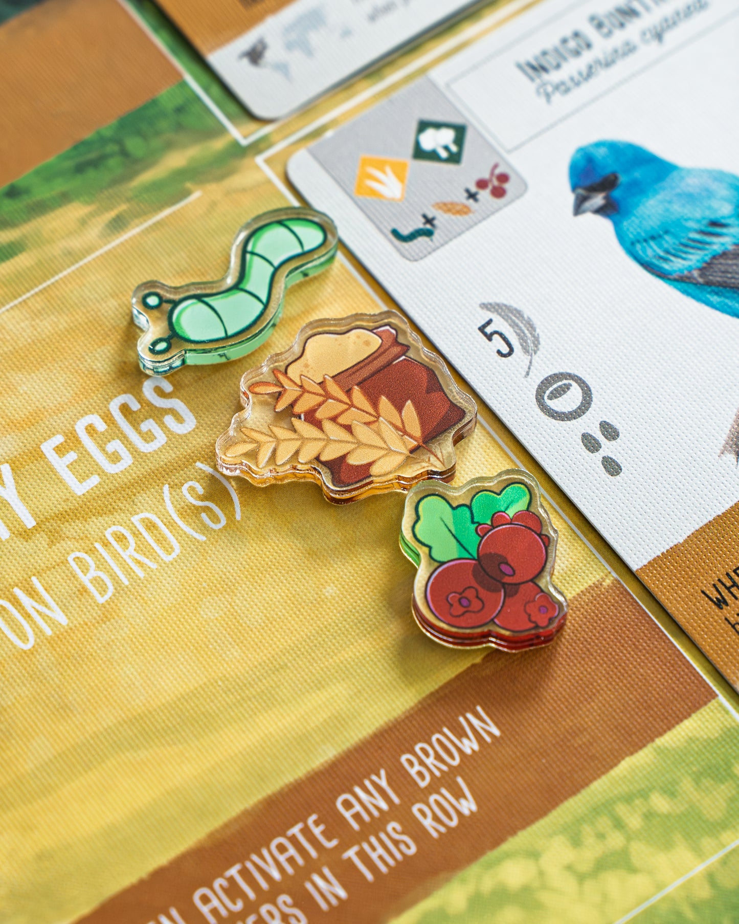 Wingspan Bundle Tokens | Acrylic Game Tokens – 0.75" | Double-Sided Print