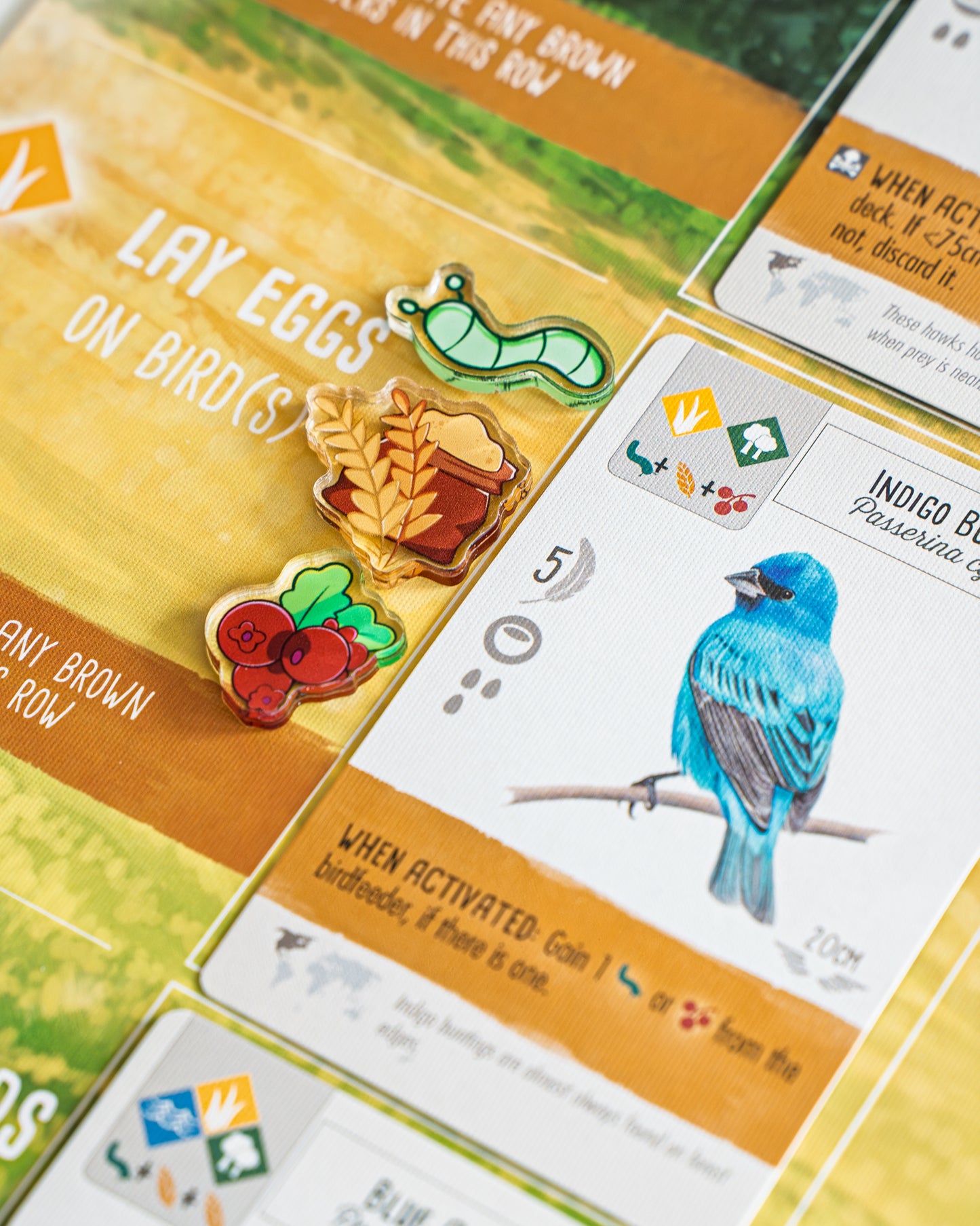 Wingspan Bundle Tokens | Acrylic Game Tokens – 0.75" | Double-Sided Print